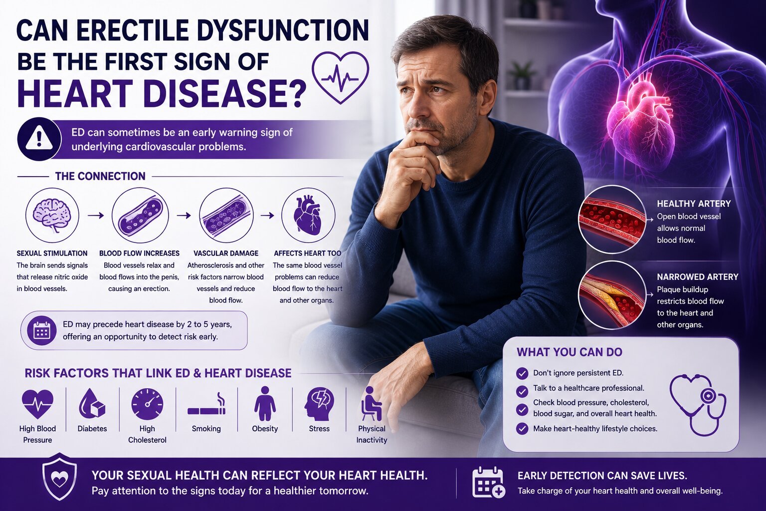Stylized medical illustration of a heart and vascular system representing cardiovascular health and erectile function